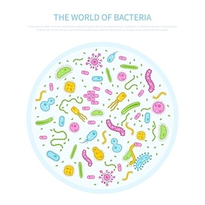 Different colored bacteria in petri glass flat microbiology concept vector illustration