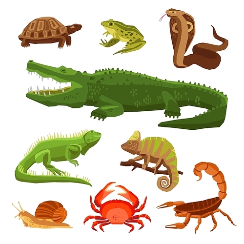 Reptiles and amphibians decorative set of cobra crocodile turtle snail scorpion crab icons in cartoon style isolated vector illustration