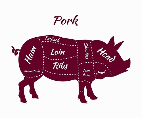 Pork or pig cuts. American US cuts of pork. Pork Cuts Barbecue vector illustration. Pork meat cuts. Butcher pork or pig cuts. Pork cuts diagram. Butchers selection pork. Butcher shop
