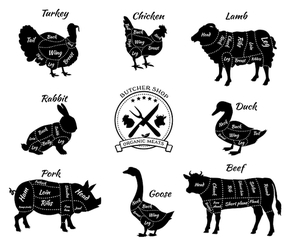 Set a schematic view of animals for butcher shop. Cow and pork, cattle and pig, chicken and lamb, beef and rabbit, duck and swine, goose and turkey, meat illustration. Vector meat cuts
