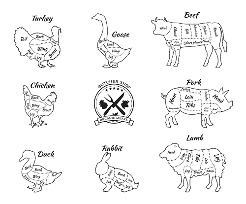 Set a schematic view of animals for butcher shop. Cow and pork, cattle and pig, chicken and lamb, beef and rabbit, duck and swine, goose and turkey, meat illustration. Vector meat cuts thin line