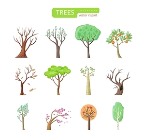 set of isolated trees design flat. tree forest, leaf tree vector isolated, tree branch nature green, plant  branch tree, organic natural wood  illustration