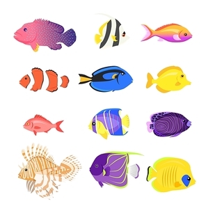 Set of sea fish color design flat. Ocean fish animal, nature cartoon wildlife aquarium, underwater life sea fish, exotic drawing marine fauna sea fish vector illustration