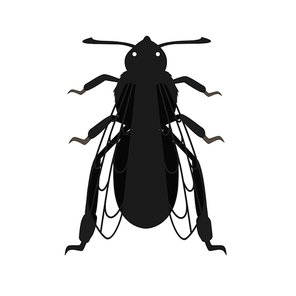 vector honey bee queen cartoon. isolated bee black on white