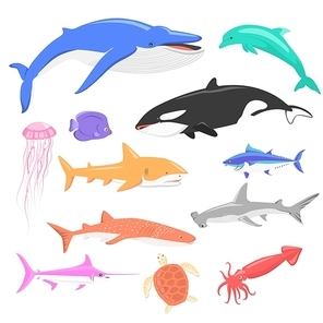Marine fauna set of aquatic animals. Aquatic fauna, ocean or sea fish wildlife fauna, underwater aquarium exotic life fauna, dolphin water wild vector illustration isolated on white
