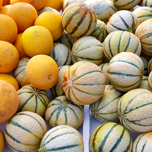 유토이미지 | 상세페이지 | 베이직샵 | 20274033 | Cantaloupe and yellow melons at the marketplace stacked