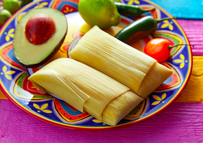 Mexican Tamale tamales of corn leaves with chili and sauces