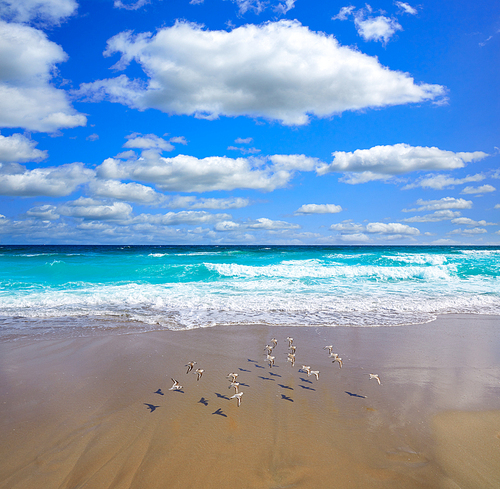 Palm Beach beach coastline in Florida USA