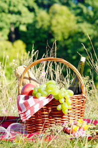 Picnic basket with fruits wine and bread