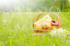 Picnic basket with apples bananas and cheese on green grass
