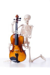 Skeleton playing violin isolated on the white