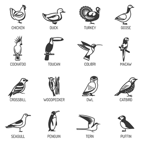 Set of different birds silhouettes from various living environment with titles flat isolated vector illustration