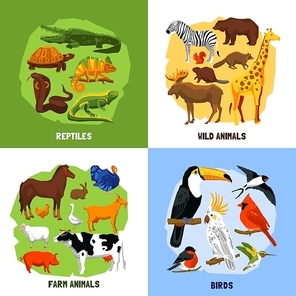 Cartoon 2x2 zoo images of animals sets grouped by reptiles birds wild and farm animals vector illustration