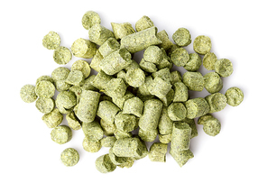 hops pellets isolated on white