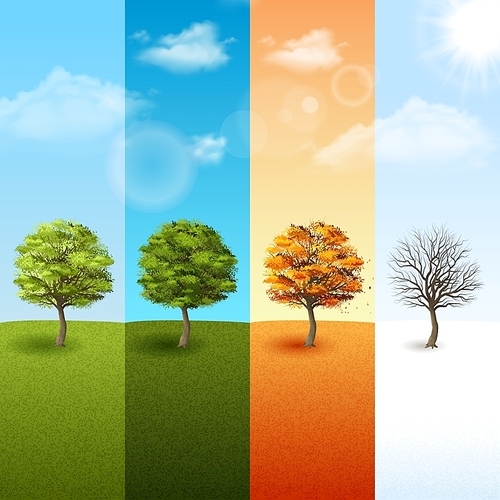 Four season vertical banner set with trees on blue sky background vector illustration