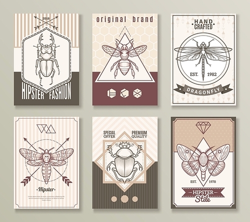 Insects hipster cards set with dragonfly and beetles flat isolated vector illustration