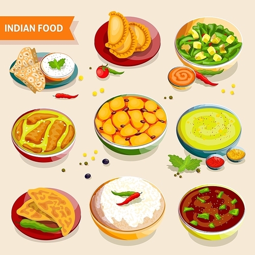 indian food set of national dishes with  beans chicken meat s and spices vector illustration