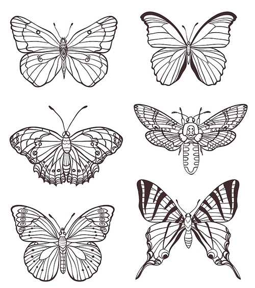 Set of vector hand drawn butterflies