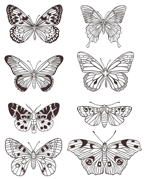 Set of vector hand drawn butterflies on a white background