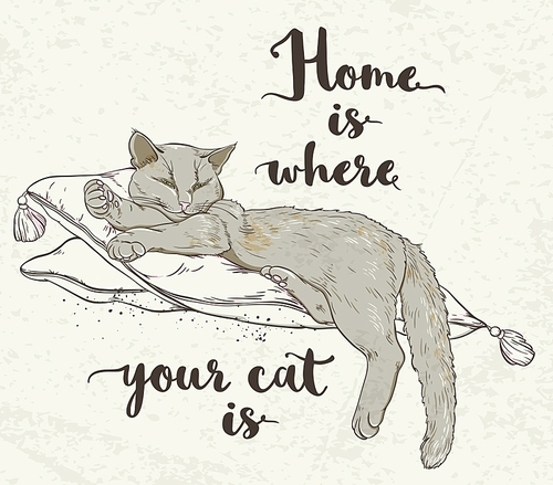 Vector background with cat on pillow and lettering.