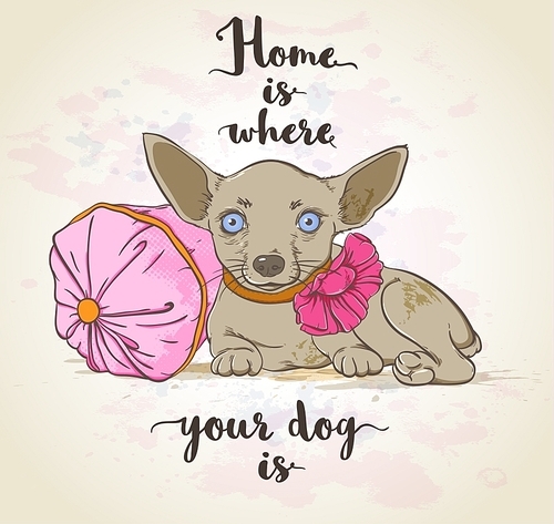 Vector background with small dog on a pillow and lettering.