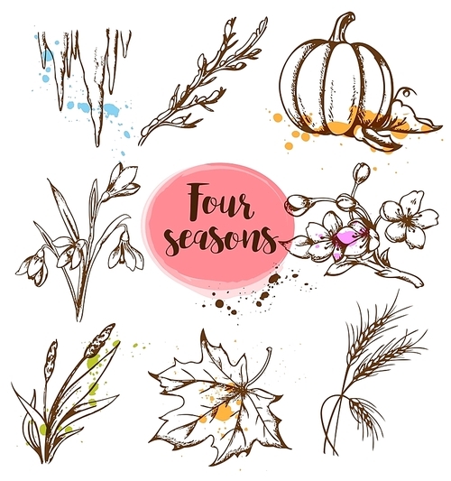 Set of vector hand drawn nature design elements in vintage style. Seasonal specifics.