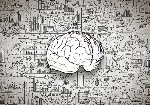 Sketch of human brain and business ideas and strategy on white background