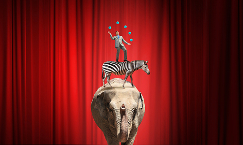 Young businessman standing on zebra and juggling with balls