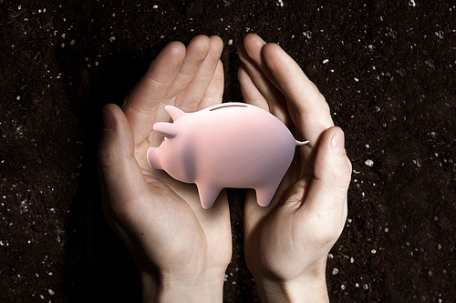 Close up of malepalms holding piggy bank and soil at background