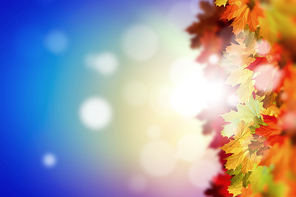 Background image with autumn leaves. Place for text