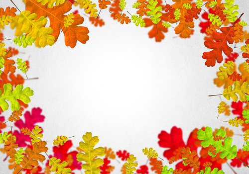 Background image with autumn leaves. Place for text