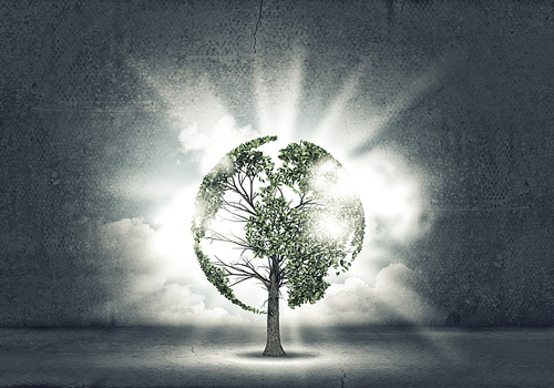 Green tree as a symbol of environmental protection