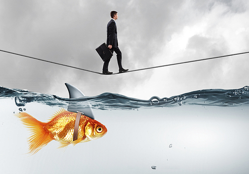 Concept of fake threat when businessman walking on rope above water with shark appear to be goldfish