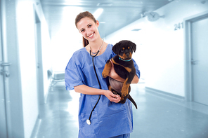 woman veterinary with a rottweiler puppy dog at the hospital