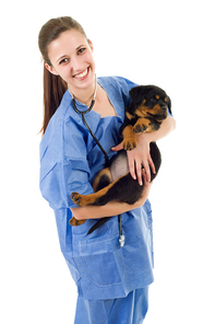 Brunette veterinary with a rottweiler puppy dog isolated on white