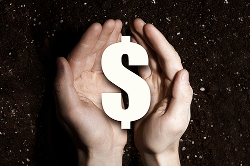 Dollar sign in male palms on soil background