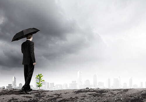 Rear view of businessman protecting little sprout with umbrella