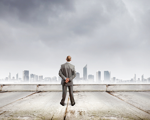 Back view of confident businessman looking at city