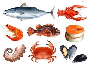 Fish, crayfish, mussels, octopus. 3d vector icon set. Sea food, realism style