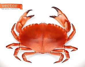 Red crab. 3d vector icon. Seafood, realism style