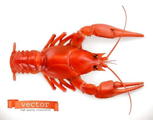 Red crayfish. 3d vector icon. Seafood, realism style