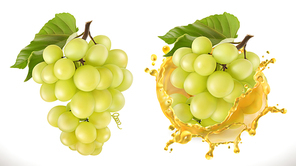 White sweet grapes and juice splash. Fresh fruit, 3d vector icon