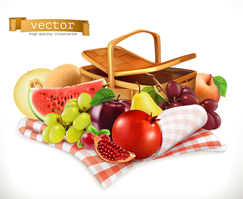 harvest fruits and berries. pomegranate, apple, pear, grapes, water, melon. realistic 3d vector icon