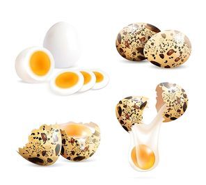 Quail eggs isolated realistic images set of whole eggs and cracked eggshell pieces with boiled egg slices vector illustration