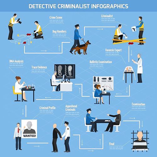 Infographics with information about work of police experts and forensic laboratory arrested criminals flat style vector illustration