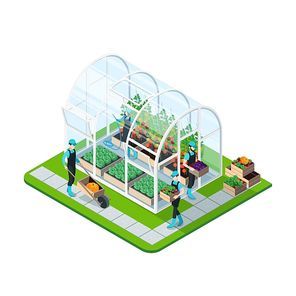 Glass greenhouse isometric template with working people irrigation and watering isolated vector illustration