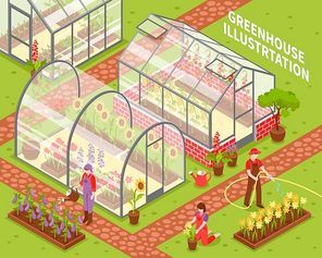Colored isometric greenhouse composition with growing flowers in hotbeds and flower care vector illustration