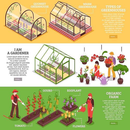 Three horizontal greenhouse banner set with I am gardener organic farm and types of greenhouses descriptions vector illustration