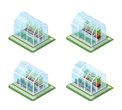 Glass greenhouse isometric set with growing agricultural products and colorful flowers isolated vector illustration