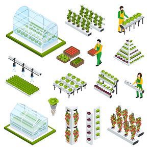 Hydroponics and aeroponics isometric icons set with greenhouse symbols isolated vector illustration